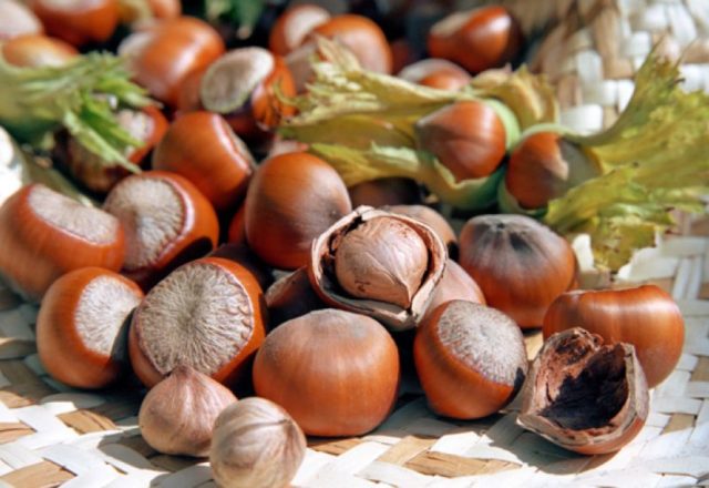  Avellanas Nueces