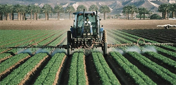  Cultivarea arahidei industriale