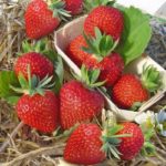  Strawberry garden Darselect
