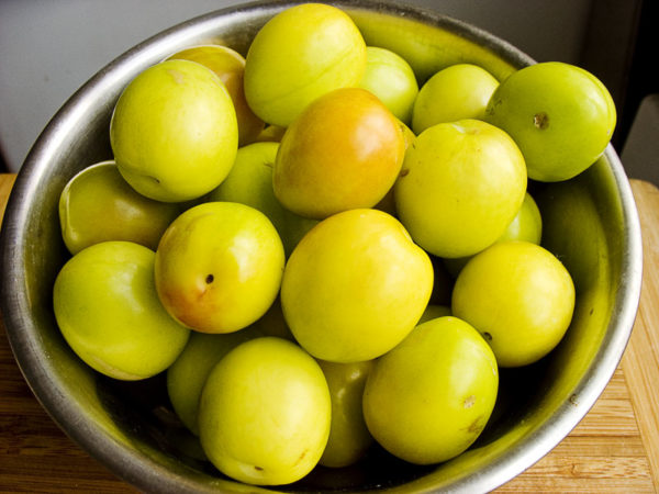 Frutti maturi e raccolti di prugna ciliegia