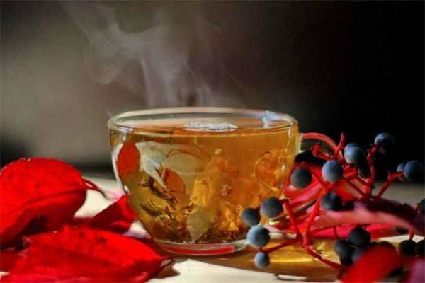  A decoction of blueberry leaves is very useful in diabetes, heart disease and anemia