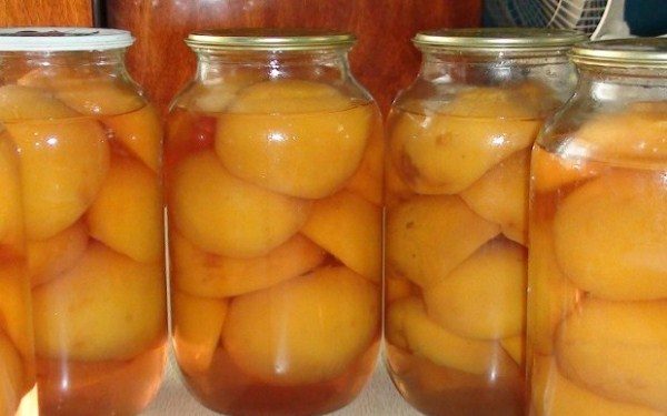  Melocotones bz semillas en el jarabe para el invierno