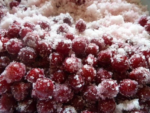  Cranberries are used to make jam and jelly, fruit drinks, and rub with sugar.