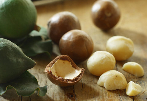  Las frutas de macadamia se usan muy a menudo en cosméticos de élite.