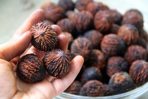  Fruta de nogal negro