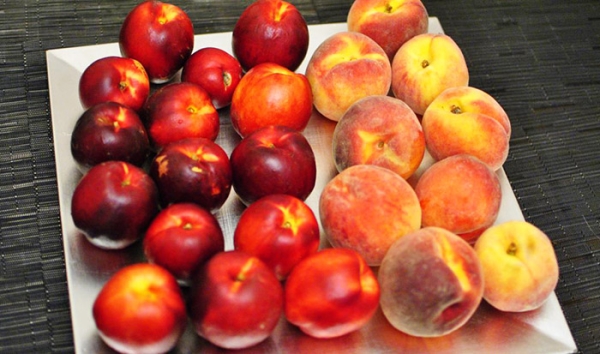  Los melocotoneros se dividen en cuatro grupos dependiendo de la forma de la fruta.