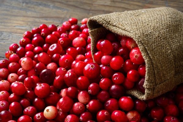  Fresh cranberries