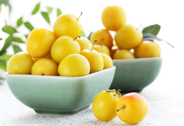  cherry plum useful properties