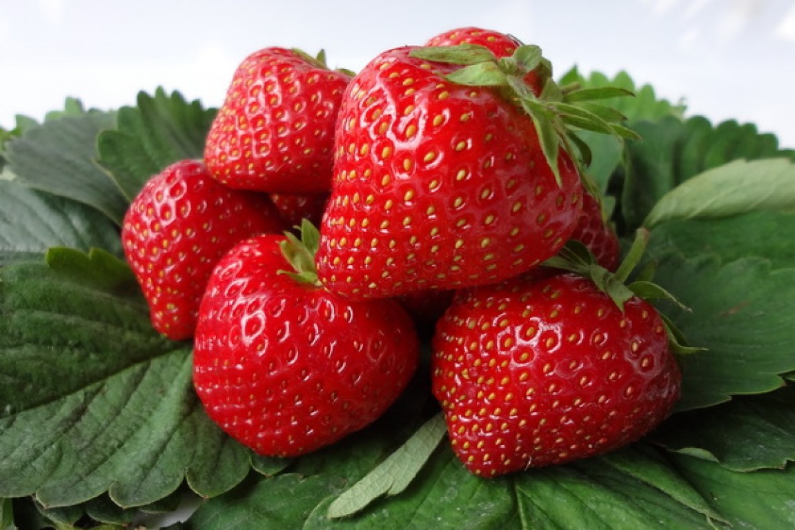  Strawberry queen