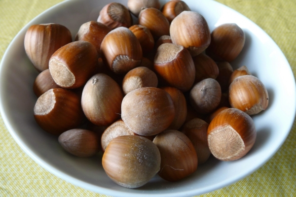 Fundakt contiene una grande quantità di vitamine e oligoelementi, acidi grassi polinsaturi, amminoacidi