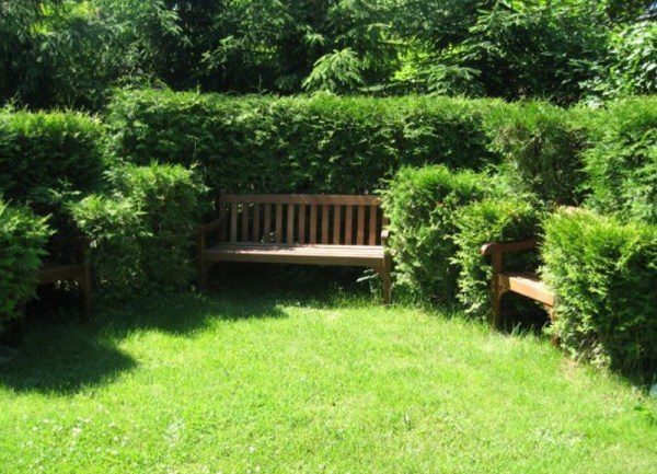  Living Green Fence