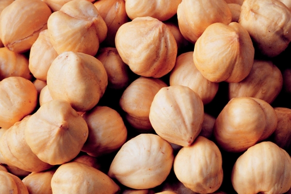  The benefits and harms of hazelnuts for the human body, use in traditional medicine recipes, contraindications