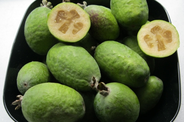  Feijoa contain large amounts of iodine, folic acid, iron and potassium