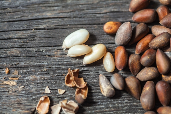  Pine nuts: their benefits and harms, beneficial properties and contraindications, use in traditional medicine