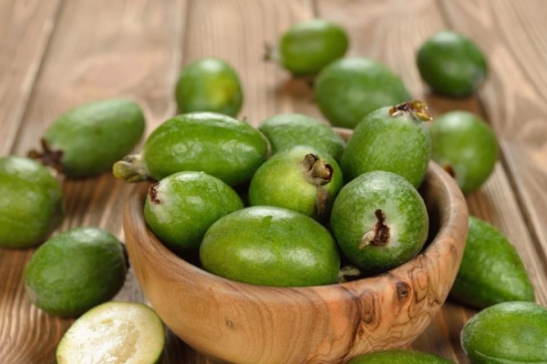  The benefits and harm of feijoa, useful properties and contraindications, recipes
