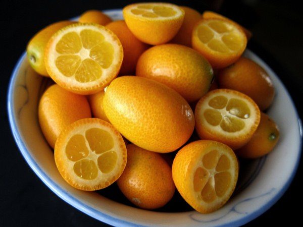  Il frutto di Kumquat contiene 4-7 chiodi di garofano