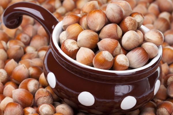 Il contenuto calorico delle nocciole è di 628 kcal per 100 grammi, il dado è un prodotto più nutriente della carne