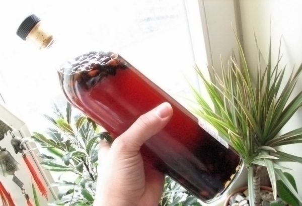  Alcoolul de alune sau tinctura de vodca se utilizează pentru tratarea multor boli.