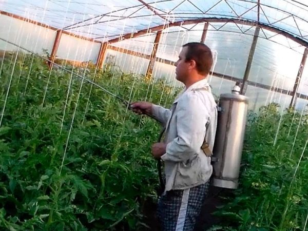 I principali metodi di trattamento per la putrefazione saranno l'uso di sostanze chimiche moderne