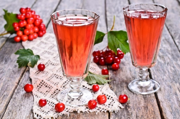  Tincture of viburnum on honey is used to prevent colds and strengthen the immune system