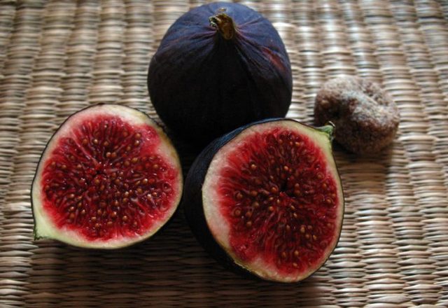  Figs