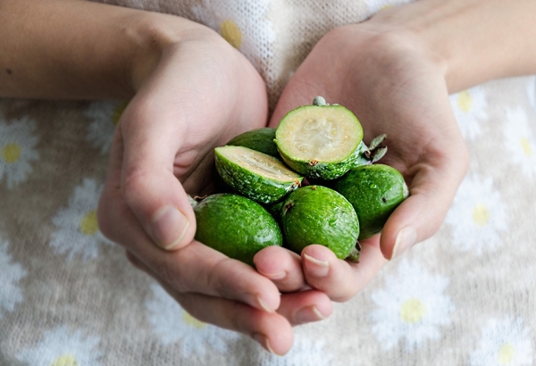  Feijoa is especially useful in the 12th week of pregnancy.