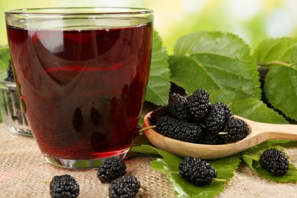  De los frutos y hojas de morera se hacen infusiones medicinales, zumo y doshab.