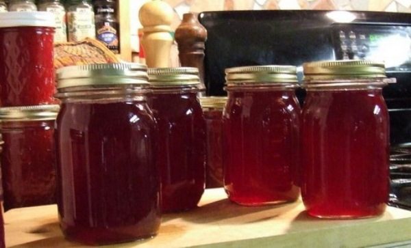  The juice of turn in the banks for the winter