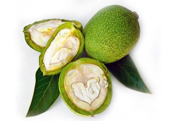 La noce verde e la sua buccia contengono una grande quantità di vitamine, acidi grassi e tannini