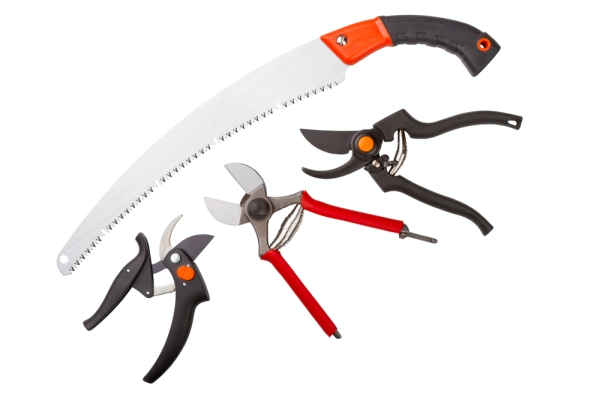  La podadora, la sierra para metales, el cuchillo de jardín y la cortadora deben afilarse y desinfectarse.