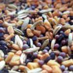  Semillas de plantas