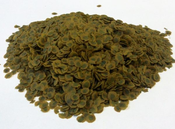  La lenteja de agua seca se puede utilizar como un apósito verde superior.