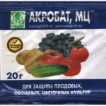  For the prevention of late blight of potatoes, you can use the drug Acrobat
