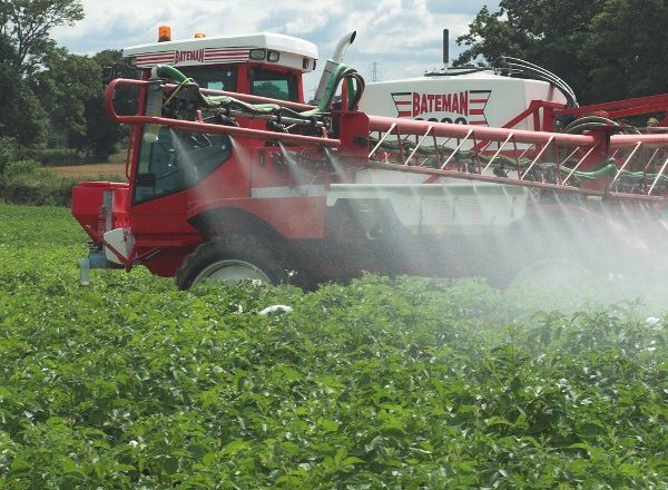  Combinare cospargere le patate con erbicidi