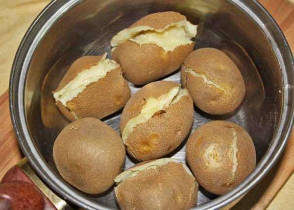  Batata cozida Variedade Qiwi