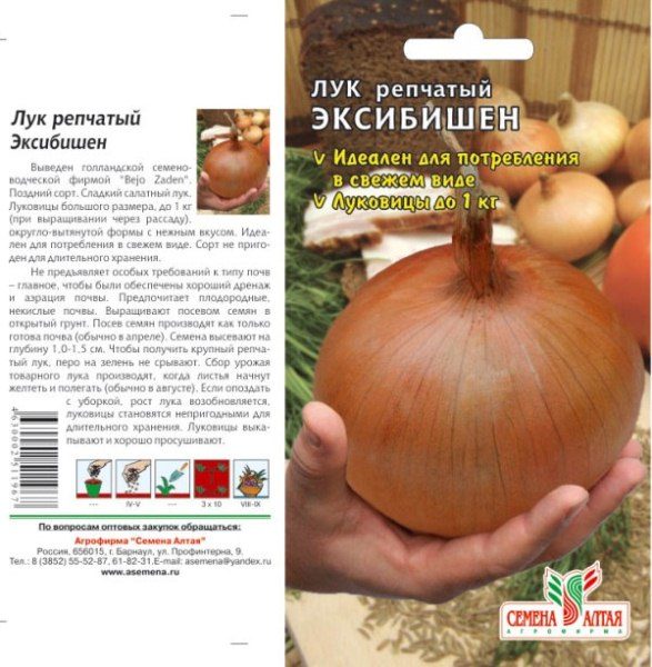  Onion Seeds