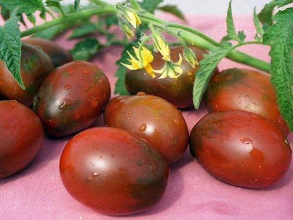  Negru De Barao