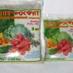 Fertilizante fosfórico