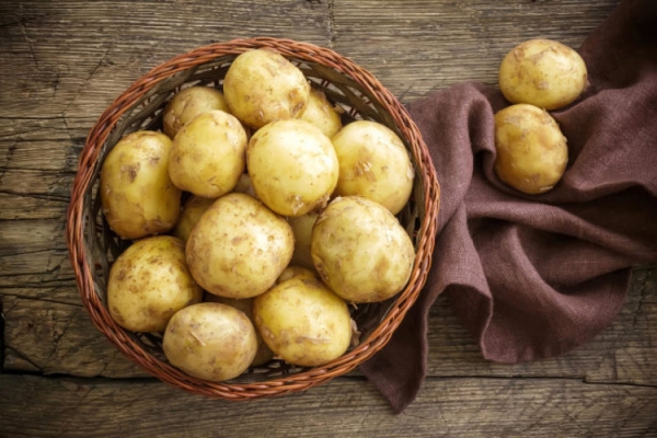  Potato varieties Santa: description and characteristics, planting, care and storage