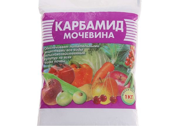  urea