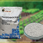  Nitrofozka