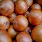  Onion
