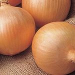  Orion onions