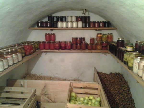 PIVNIȚĂ