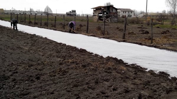  Sob o agrofiber