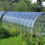  Polycarbonate greenhouse