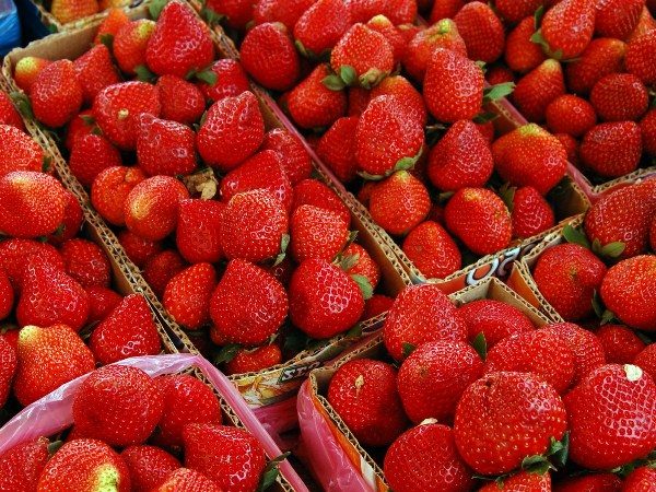  Strawberries are popular all year round, both in summer and in winter, therefore this business will never have problems with customers.