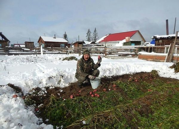  Siberia