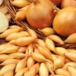  Onion sturon