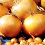  Onion Centurion